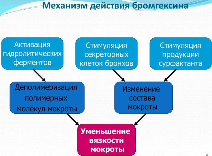 Аскорил (Ascoril) в таблетках. Цена, инструкция, как принимать, от чего помогает