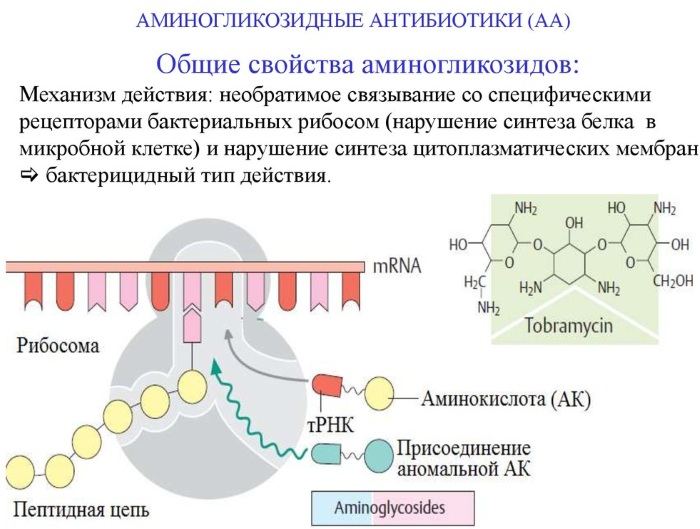 Банеоцин (Baneocin) порошок. Цена, инструкция по применению, аналоги