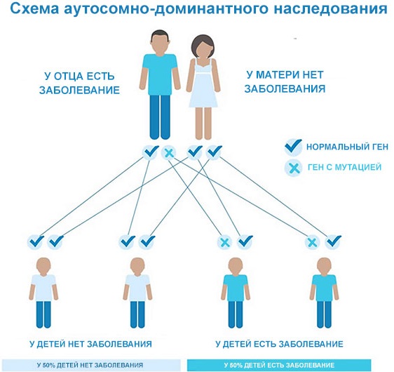 Четырехстопный хорей схема