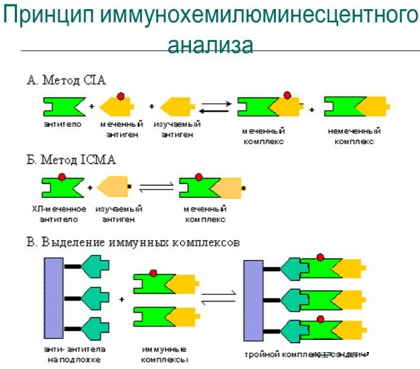 CA 15-3 онкомаркер. Норма у женщин, таблица, что это такое, расшифровка