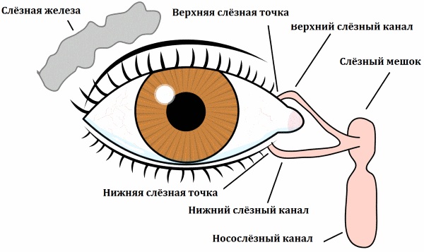 Непроходимость слезных каналов фото