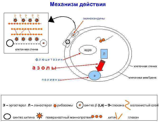 Дифлюкан (Diflucan) суспензия для детей, мужчин, женщин. Инструкция по применению, аналоги, цена