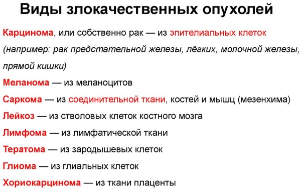 Доброкачественная и злокачественная опухоль. Отличия, таблица, можно ли отличить на взгляд