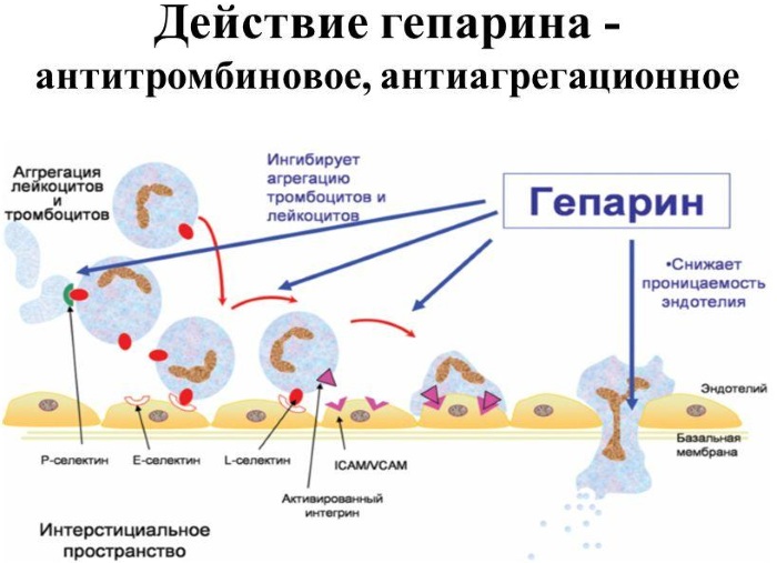 Долобене (Dolobene) гель. Что лечит, инструкция по применению, аналоги, цена