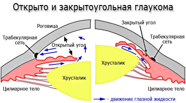 Дорзопт (Dorzopt) глазные капли. Цена, инструкция по применению, аналоги