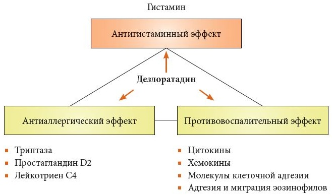 Эриус (Aerius) таблетки. Цена, инструкция по применению от аллергии, аналоги