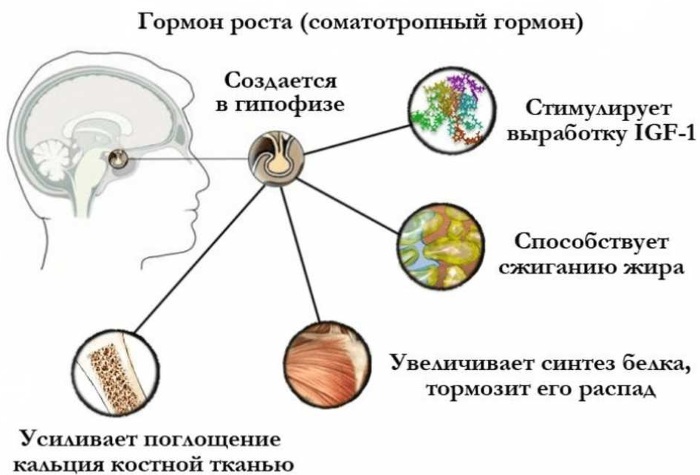 Гормоны роста для подростков. Инструкция, таблетки, инъекции, цены