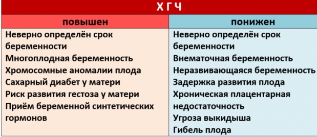 ХГЧ при внематочной беременности. Норма по неделям, дням, , показатели на ранних сроках, как сдавать