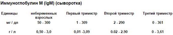 Иммуноглобулин М. Что показывает, за что отвечает, норма, что значит повышен, понижен