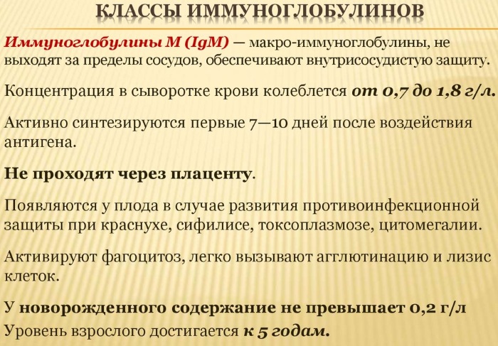 Иммуноглобулин М. Что показывает, за что отвечает, норма, что значит повышен, понижен