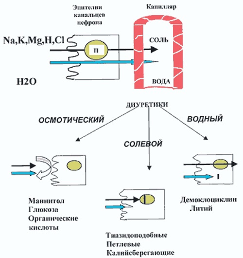 Индапамид (Indapamide). Отзывы пациентов принимавших препарат, инструкция, побочные действия, показания, цена