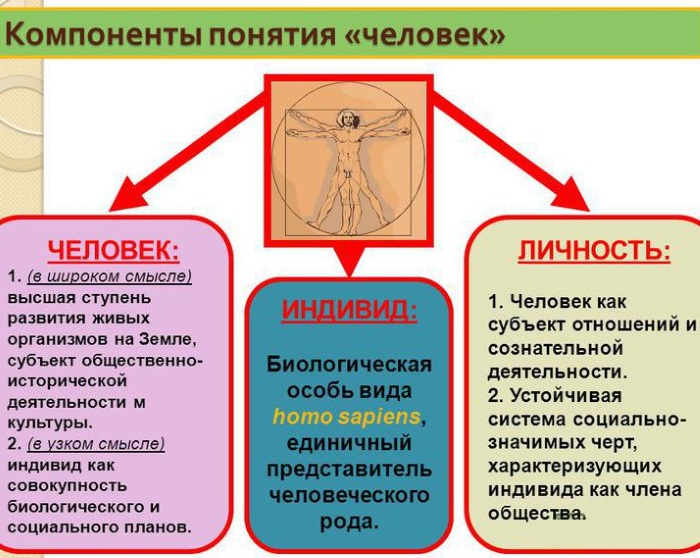 Индивидуальность в психологии. Что это такое, как сохранить, примеры, признаки, черты, структура, предпосылки, виды, формы проявления