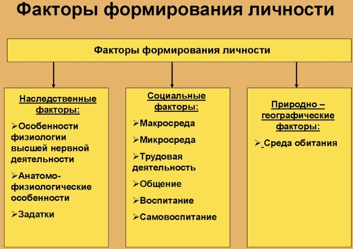 Индивидуальность в психологии. Что это такое, как сохранить, примеры, признаки, черты, структура, предпосылки, виды, формы проявления