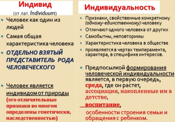 Индивидуальность в психологии. Что это такое, как сохранить, примеры, признаки, черты, структура, предпосылки, виды, формы проявления