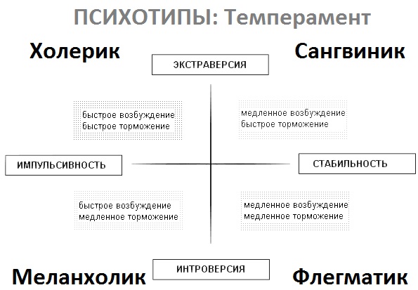 Интроверсия и экстраверсия в психологии. Что это такое, определение, примеры, тест