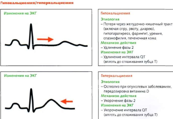 Ионизированный кальций в крови. Норма, повышен, понижен, что показывает, причины, лечение, чем опасен