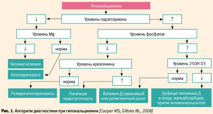 Ионизированный кальций в крови. Норма, повышен, понижен, что показывает, причины, лечение, чем опасен