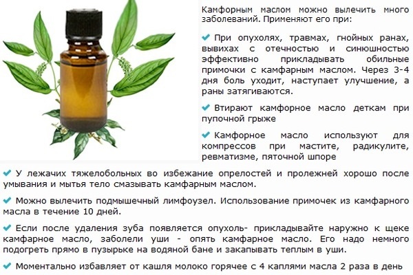 Камфорный спирт (Camphor spiritus). Применение для ушей взрослым, детям, инструкция, аналоги