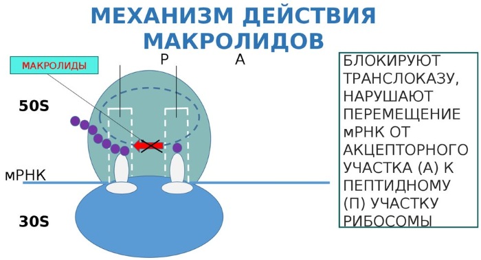 Клацид (Klacid) 125 мг для детей. Цена, инструкция, дозировка, как разводить