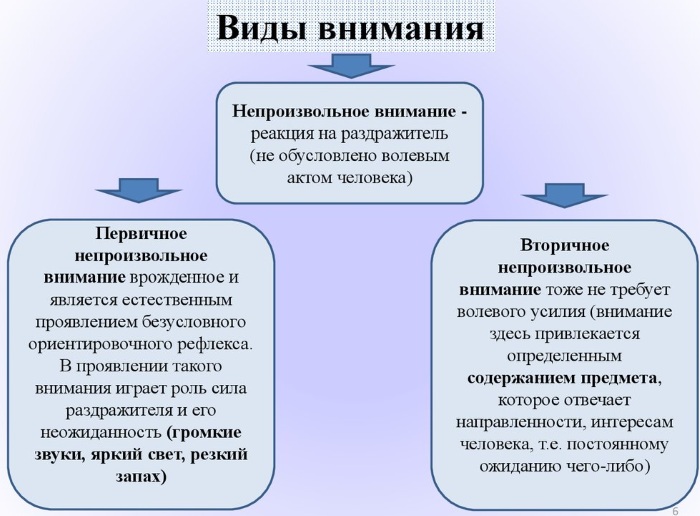 Концентрация внимания в психологии. Что это такое, упражнения, как повысить, способы, причины потери, проблемы, нарушение