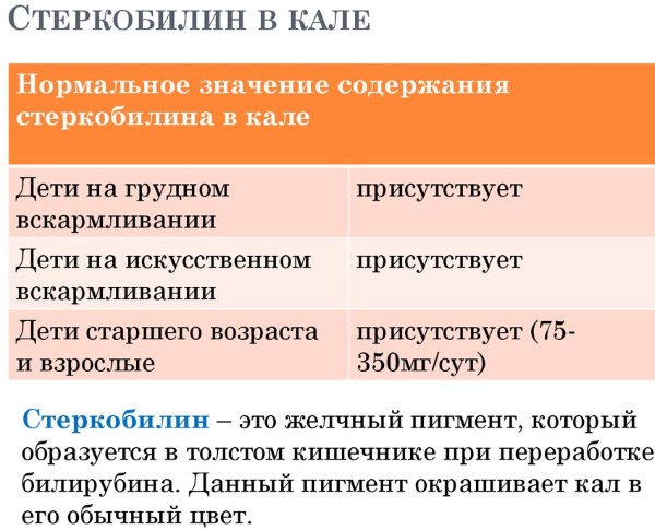 Копрологическое исследование кала. Что это, как сдавать, расшифровка, подготовка