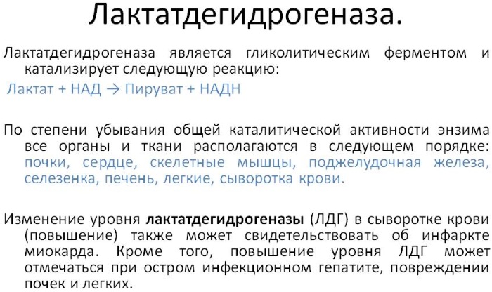 ЛДГ в биохимическом анализе повышен, понижен. Норма, что это такое, что означает, показывает, расшифровка