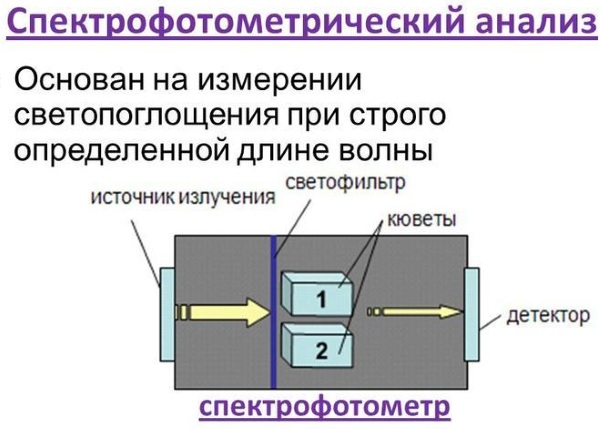 ЛДГ в биохимическом анализе повышен, понижен. Норма, что это такое, что означает, показывает, расшифровка