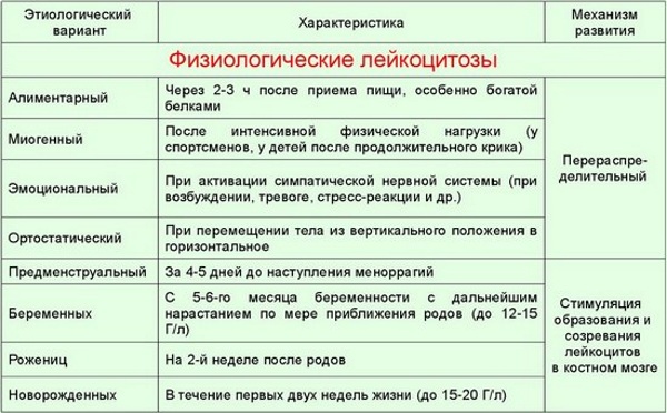 Лейкоцитоз крови. Что это такое у взрослых, ребенка, беременных, причины, лечение, последствия