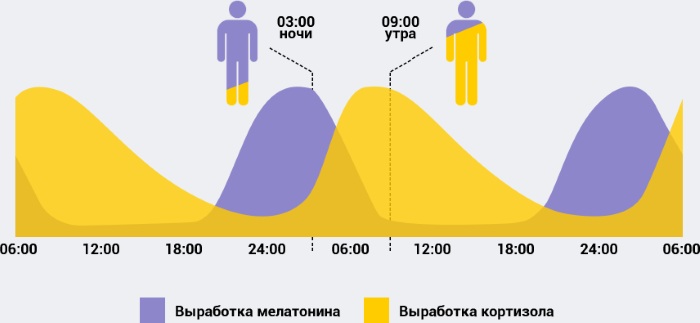 Мелатонин. Вред и польза, инструкция по применению, аналоги, где купить, цена