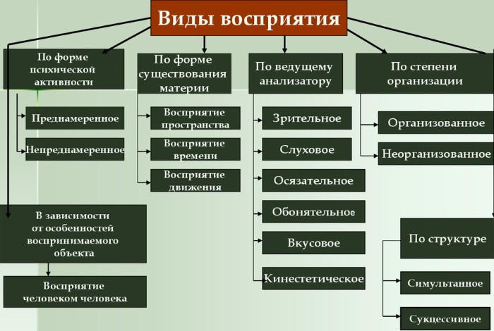 Нарушение восприятия в психологии фонематического, зрительного, времени, цвета. Особенности у детей, взрослых, причины, симптомы, виды