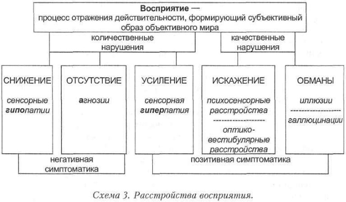 Нарушение восприятия в психологии фонематического, зрительного, времени, цвета. Особенности у детей, взрослых, причины, симптомы, виды