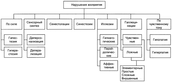 Нарушение восприятия в психологии фонематического, зрительного, времени, цвета. Особенности у детей, взрослых, причины, симптомы, виды