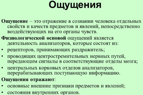 Ощущения в психологии: что это, виды, свойства, классификация, закономерности, пороги, слуховые, зрительные, интероцептивные, экстероцептивные, контактные