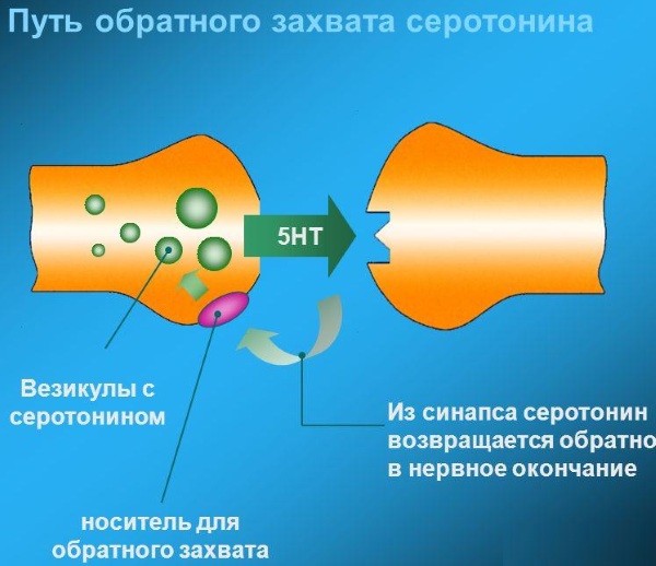 Паксил (Paxil). Отзывы пациентов принимавших препарат, инструкция, аналоги, побочные действия, цена