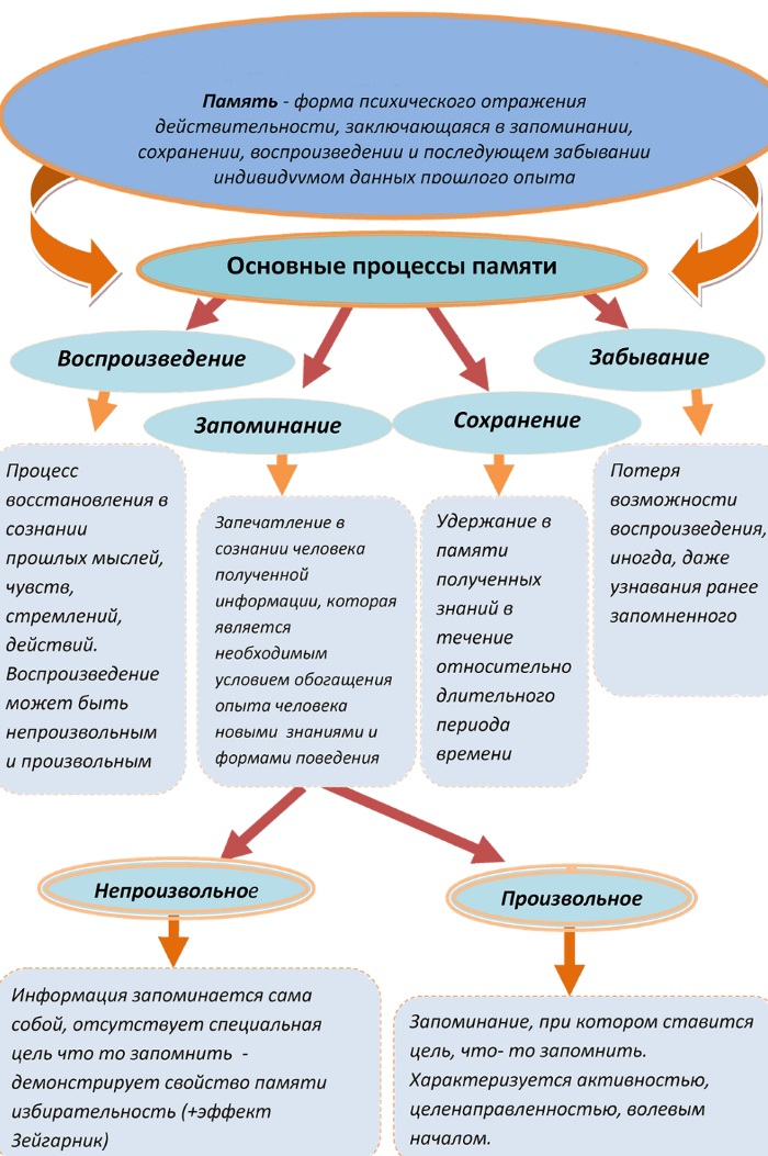 Память в психологии. Свойства, виды, процессы, функции, определение, нарушения, классификация, механизмы