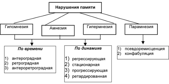 Память в психологии. Свойства, виды, процессы, функции, определение, нарушения, классификация, механизмы