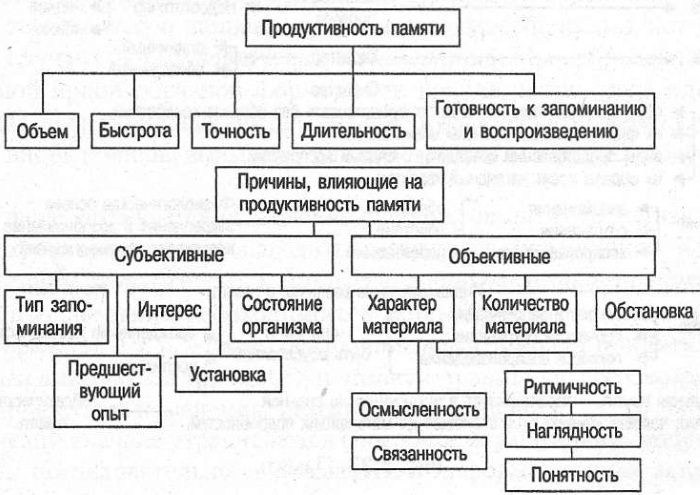 Память в психологии. Свойства, виды, процессы, функции, определение, нарушения, классификация, механизмы