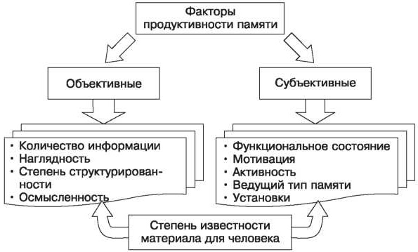 Память в психологии. Свойства, виды, процессы, функции, определение, нарушения, классификация, механизмы