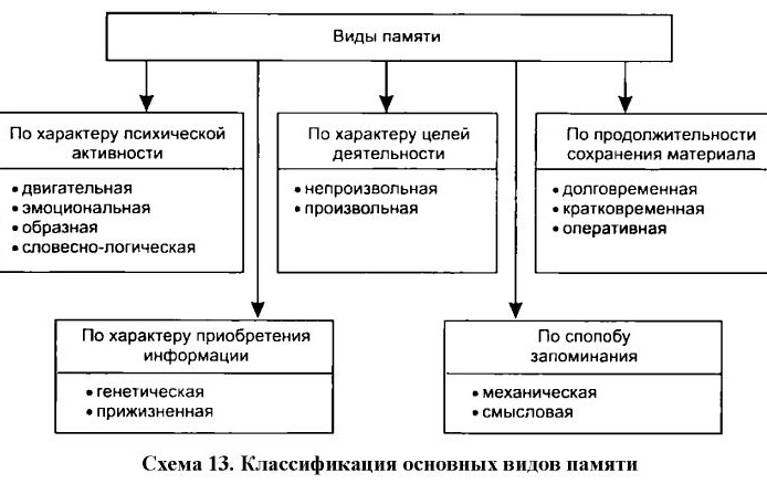 Память в психологии. Свойства, виды, процессы, функции, определение, нарушения, классификация, механизмы