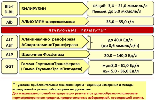 Печеночные показатели биохимического анализа крови повышены, понижены. Что это значит, нормы, причины