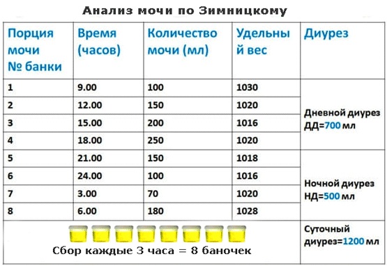 Плохая моча при беременности. Причины и последствия