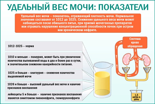 Симптом Пастернацкого (поколачивания). Что это такое, положительный, отрицательный, как лечить