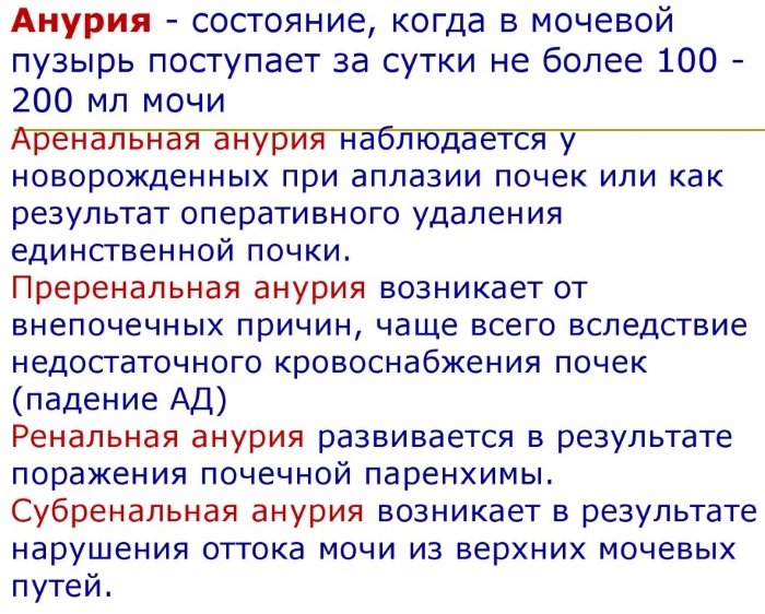 Проба Зимницкого. Описание процедуры и подготовки к ней