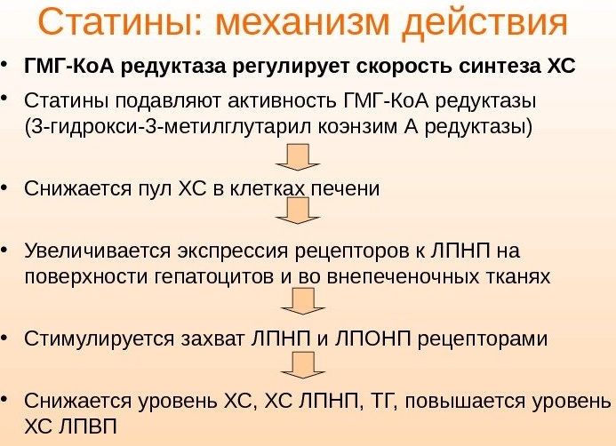 Рабдомиолиз при приеме статинов. Что это такое, причины возникновения, клинические рекомендации