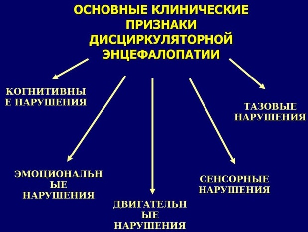 Резидуальная энцефалопатия головного мозга. Что это такое, симптомы, как лечить, последствия