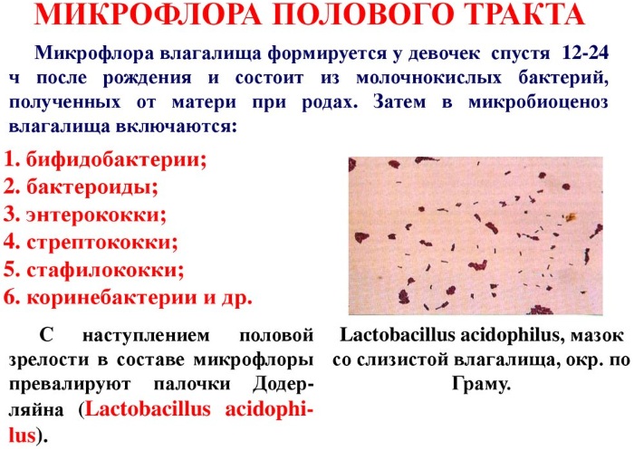 Саугелла Полиджин (Saugella Poligyn) для девочек гель для интимной гигиены. Инструкция, состав, фото цена, отзывы