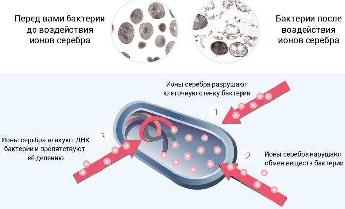 Сиалор (Sialor) для детей. Отзывы, инструкция, капли, аналоги, цена