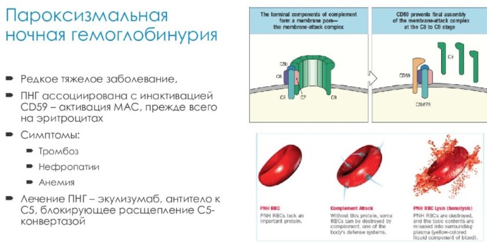 Следы гемоглобина в моче у женщин, мужчин, ребенка. Что это значит, причины, лечение