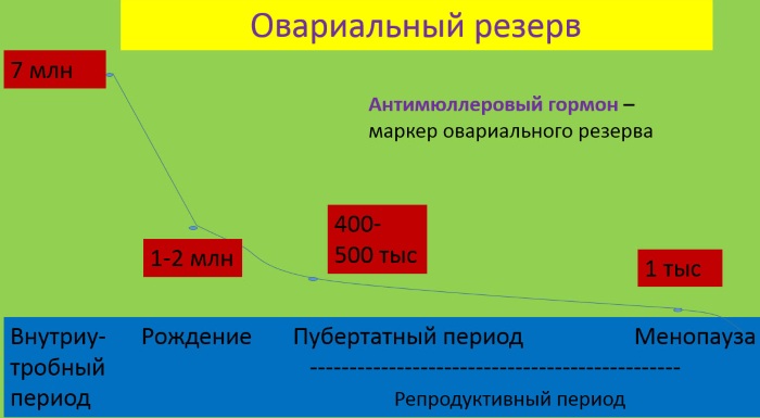 Снижение овариального резерва (СОР). Что это такое, причины, симптомы, лечение, как поднять, можно ли забеременеть