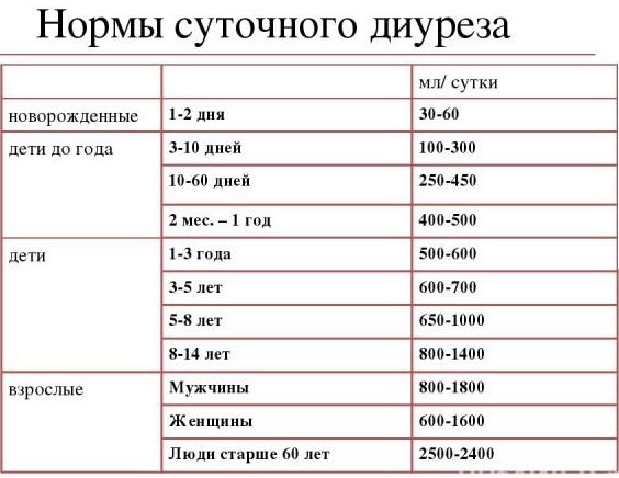 Суточная моча. Как собирать на анализ белок, сахар, кортизол, кальций